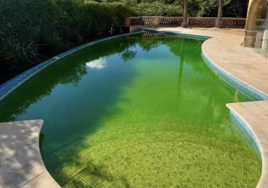 Green Pool? Common Causes and When to Call a Professional